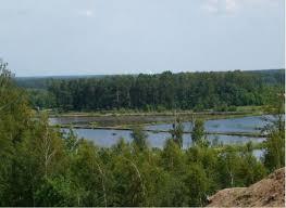 Camping lowisko Rokitnica